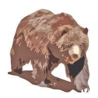 Big Bear Grizzly Big Bear Lake California logo