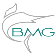 Big Marlin Group Phoenix, AZ