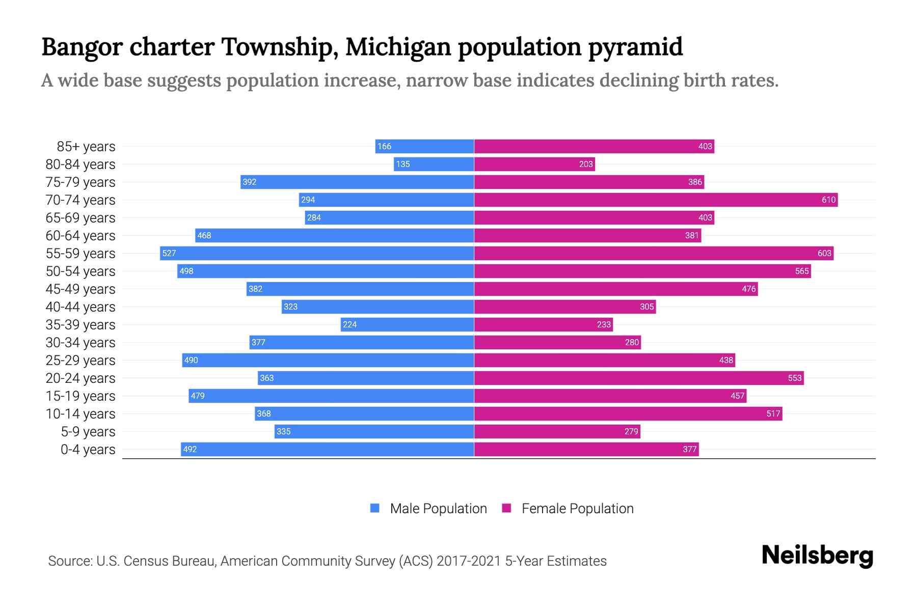 Bangor charter Township, Michigan Population by Age 2023 Bangor
