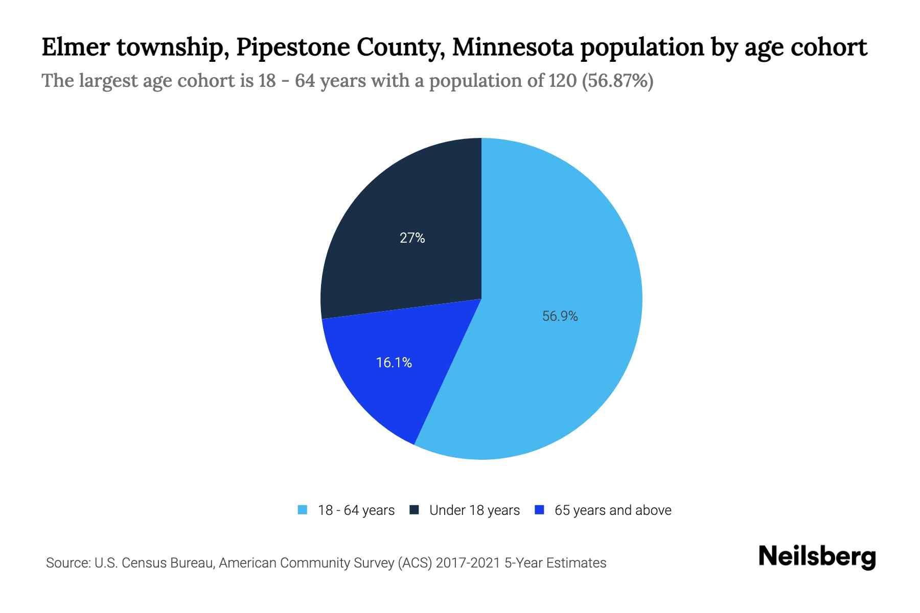 The pie chart shows Elmer township's population divided into segments, with each segment representing an age cohort. The area of each segment is in the same proportion of a circle as the population of the cohort is of the total population.