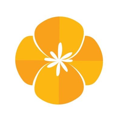 Poppy Social Media Clovis, CA