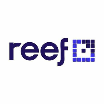 Reef Digital Digital Marketing Agency Sydney